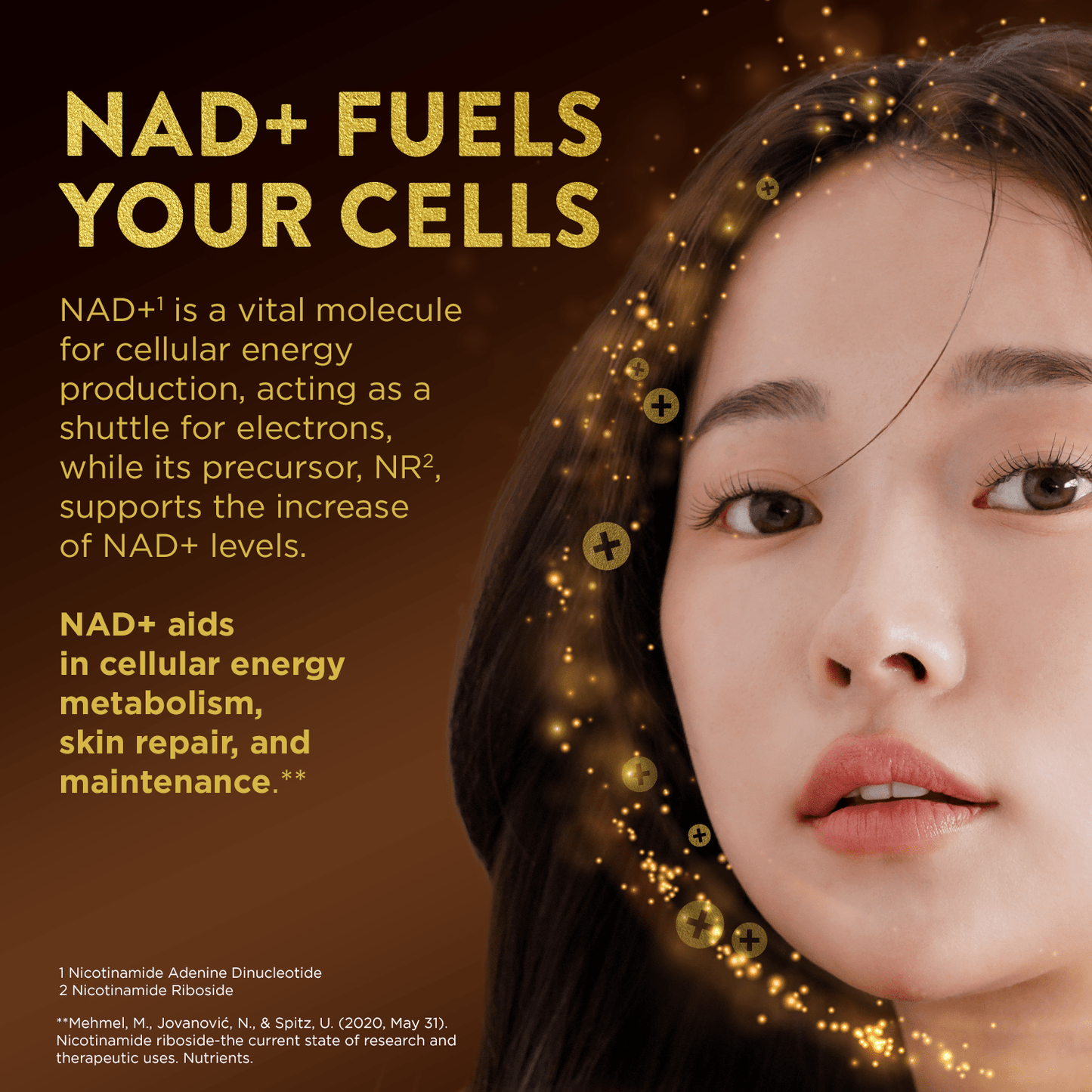 Portrait of woman with text explaining how NAD+ fuels cellular health and energy.