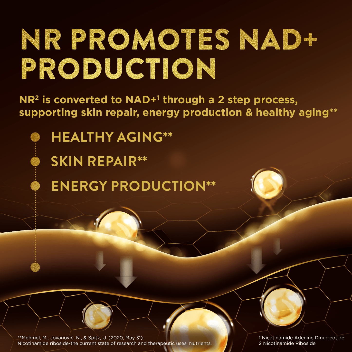 NAD+ function diagram with benefits listed as healthy aging, skin repair, and energy production.