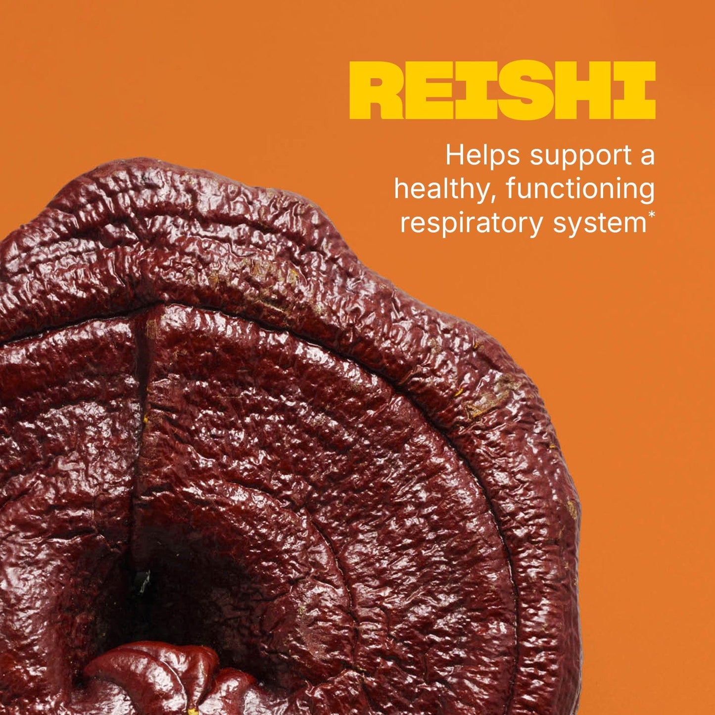Swisse | USA Lung Health 02-355-50902