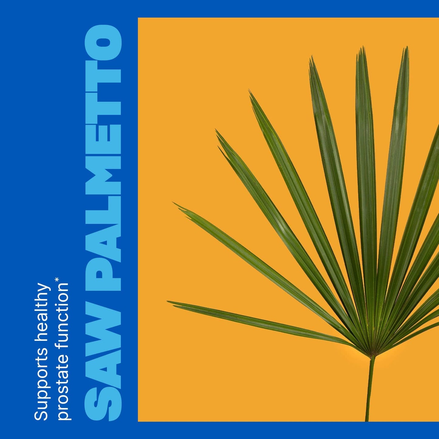 Swisse | USA Prostate 02-233-10502