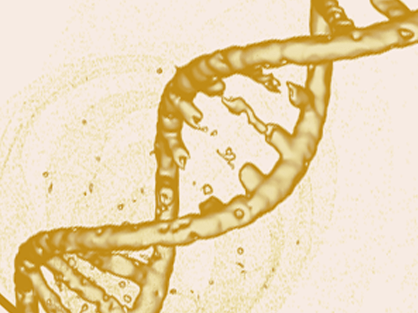 Close-up of a DNA double helix on a beige background