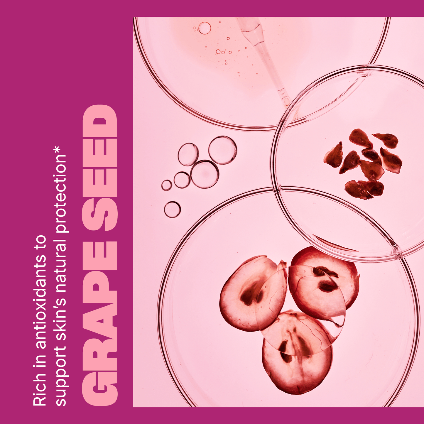 Swisse | USA Grape Seed 02-376-23002