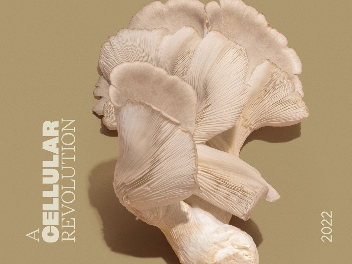 Mushroom on a beige background with 'A Cellular Revolution' text and year '2022'.