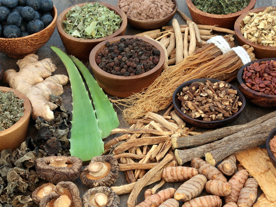 Adaptogens