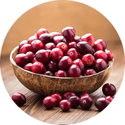 Bowl filled with fresh red cranberries on a wooden surface