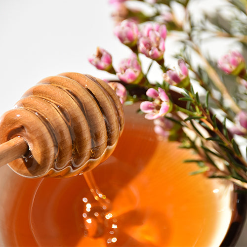 Manuka honey Ingredient Image