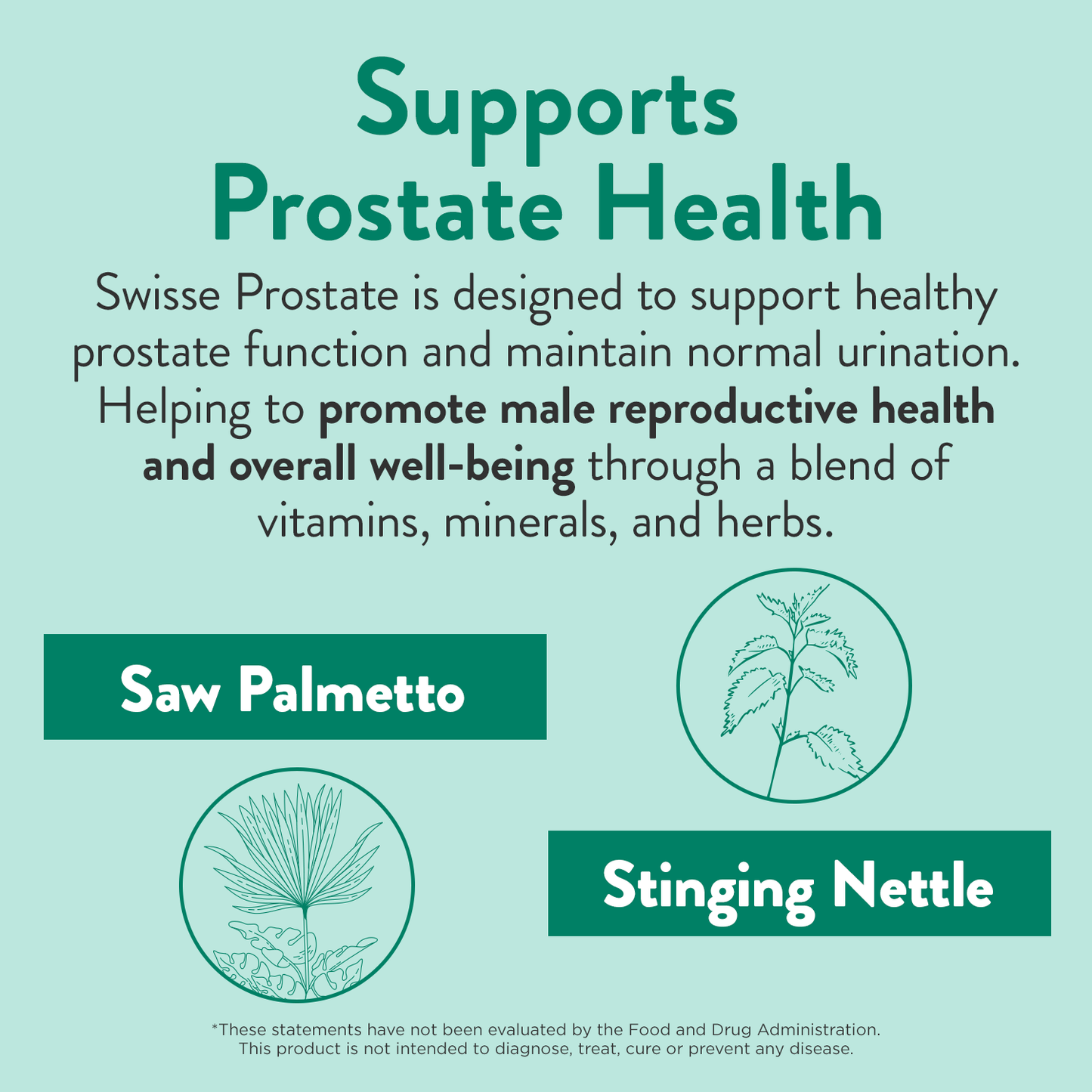 Swisse Wellness USA Prostate 02-233-10502