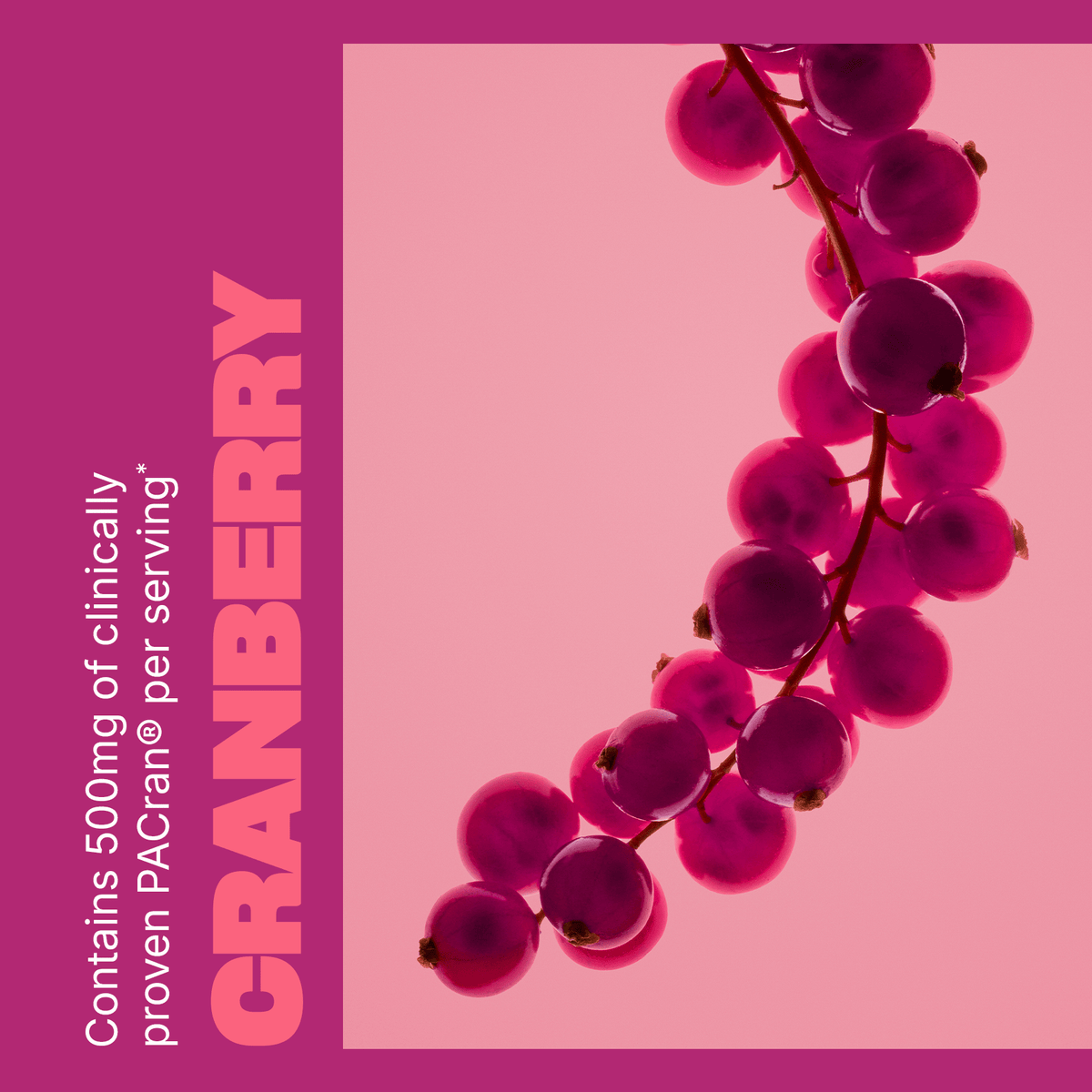 Swisse | USA Cranberry Concentrate 02-398-21002