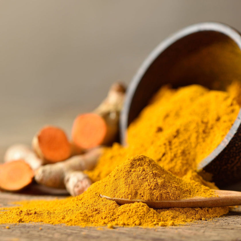Ground turmeric spilling from a bowl with fresh turmeric roots in the background.